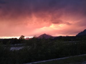 IMG_20200822_201331374 IMG_20200822_201331374